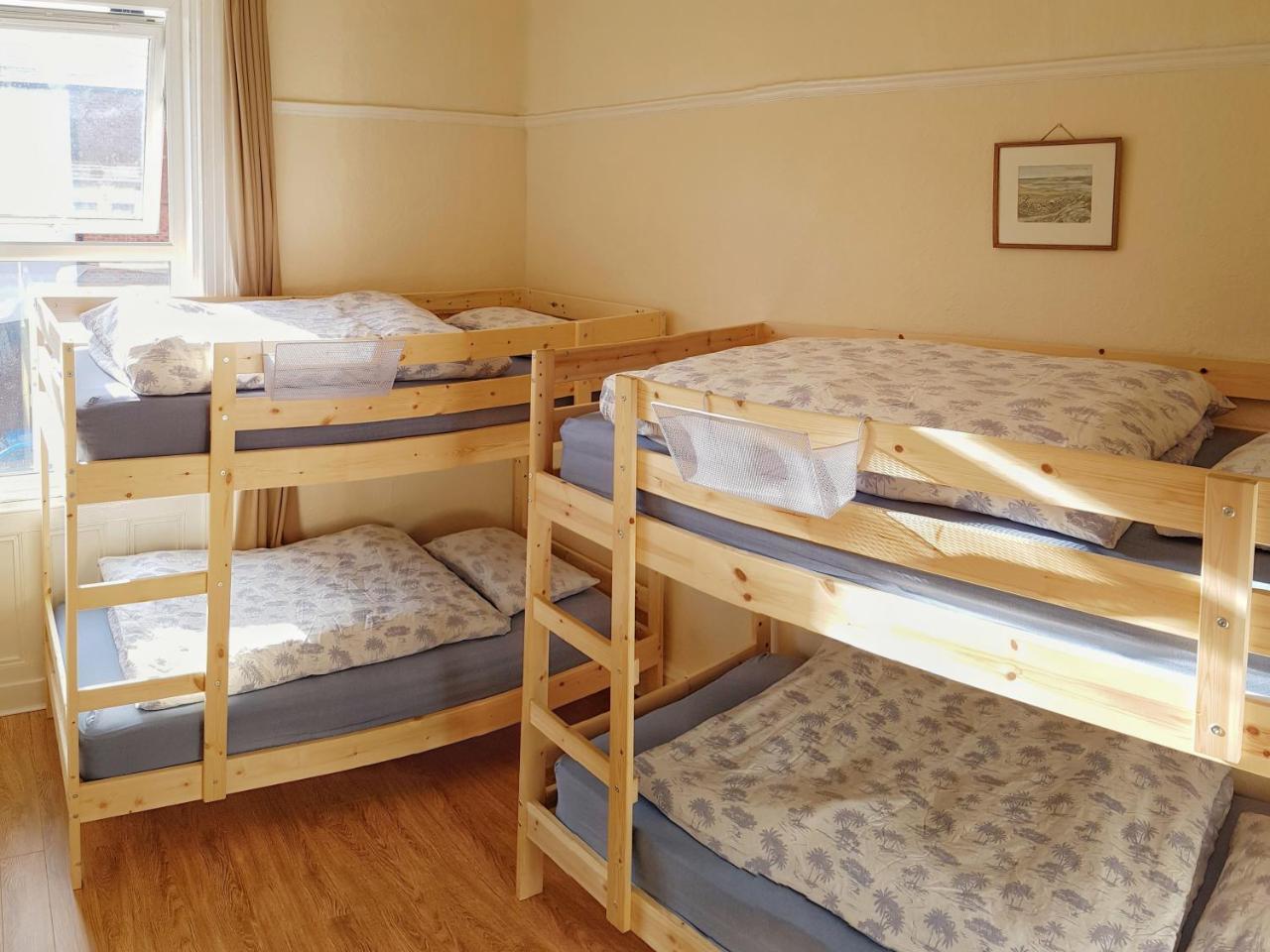 Botanical Backpackers Белфаст Экстерьер фото